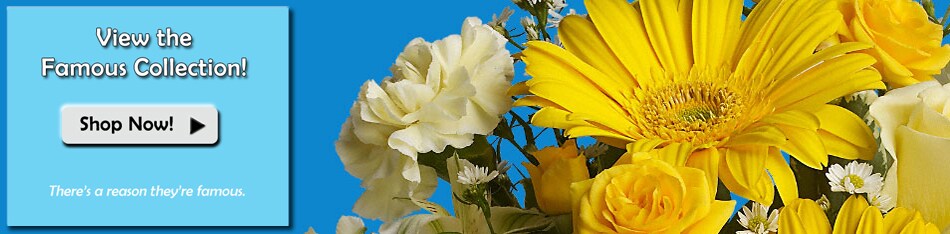 Beautiful Seasonal Flowers Banner